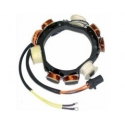 HP 35 à 65 ans (1979-2005) Stator Johnson/Evinrude moteur hors-bord. Origine : 584560