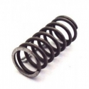 N° 5-66 m-12113-00 Spring Valve Spring Yamaha outboard